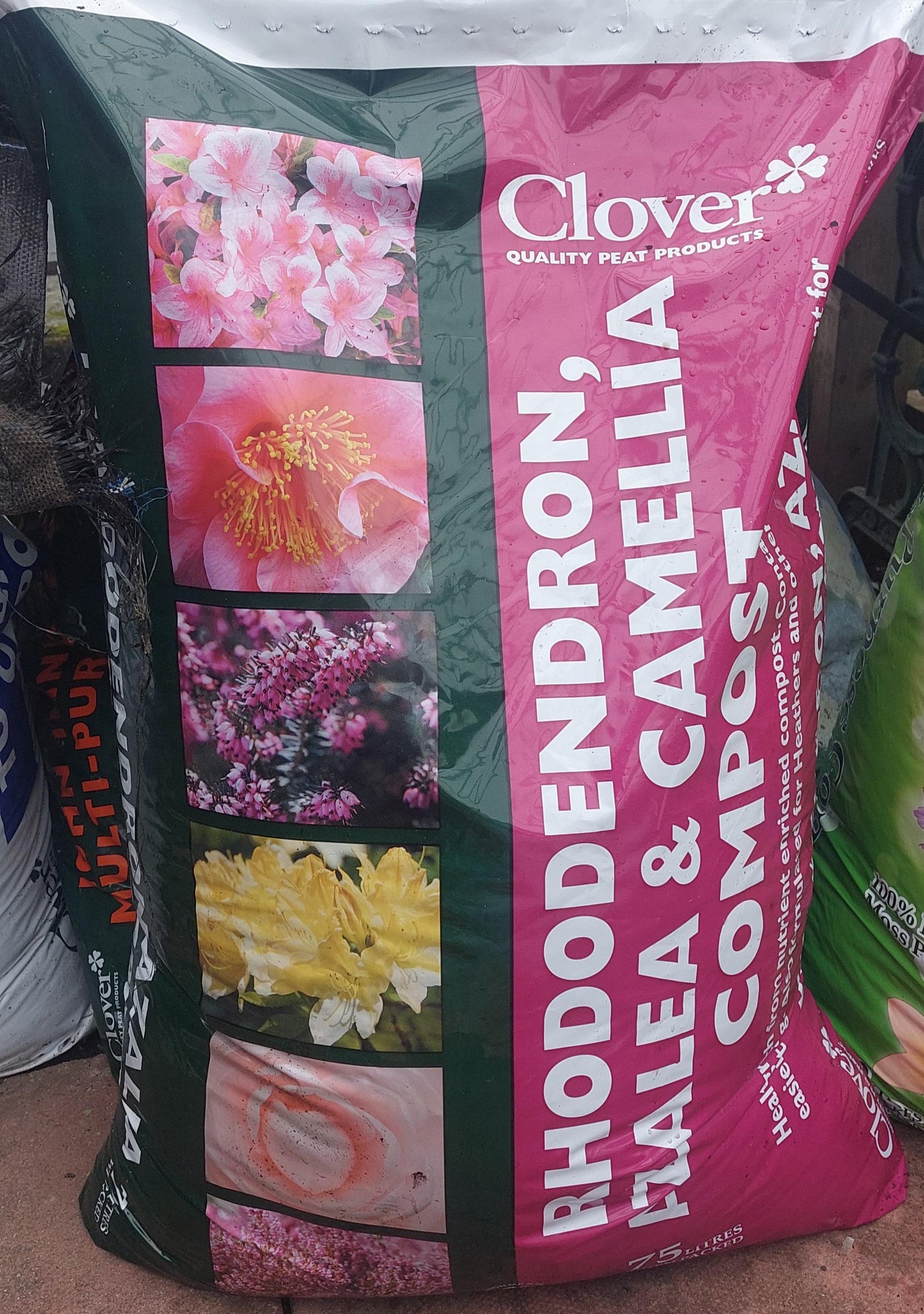 Ericaceous Compost (local collection & delivery only) (Copy)