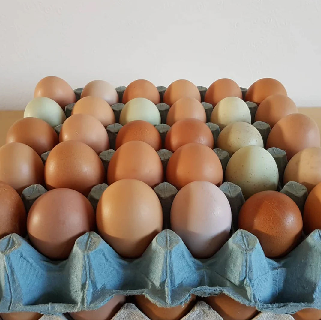 Farm Fresh Eggs (local collection & delivery only)