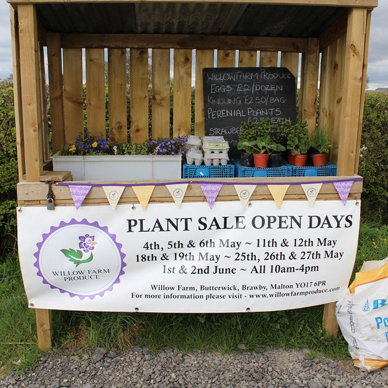 Plants – Willow Farm Produce