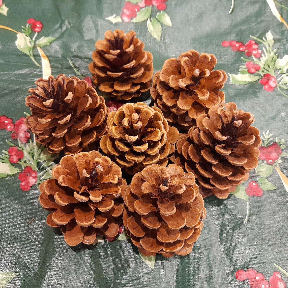 Natural Decorative Pine Cones